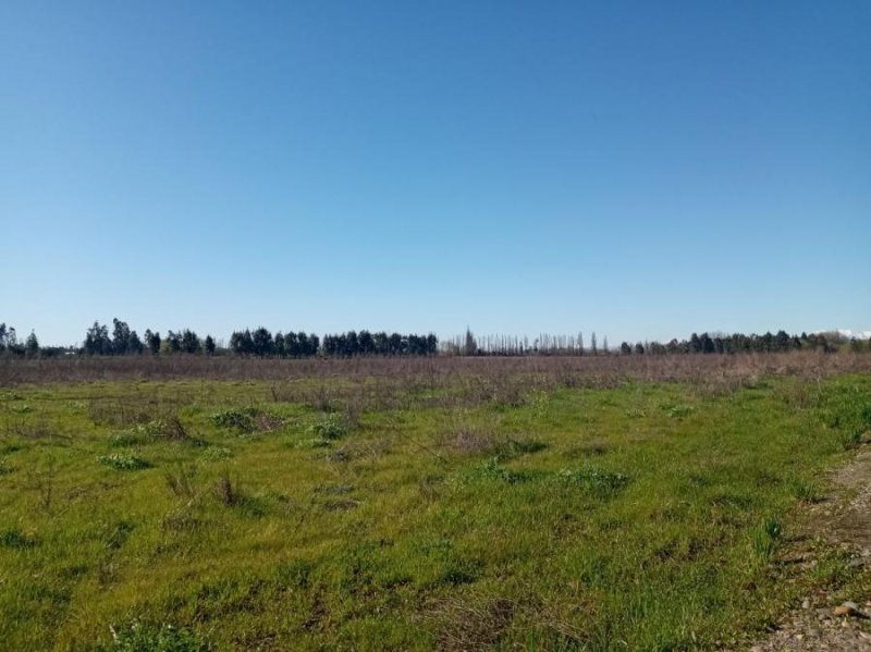 Parcela en Venta en  Yerbas Buenas, Linares