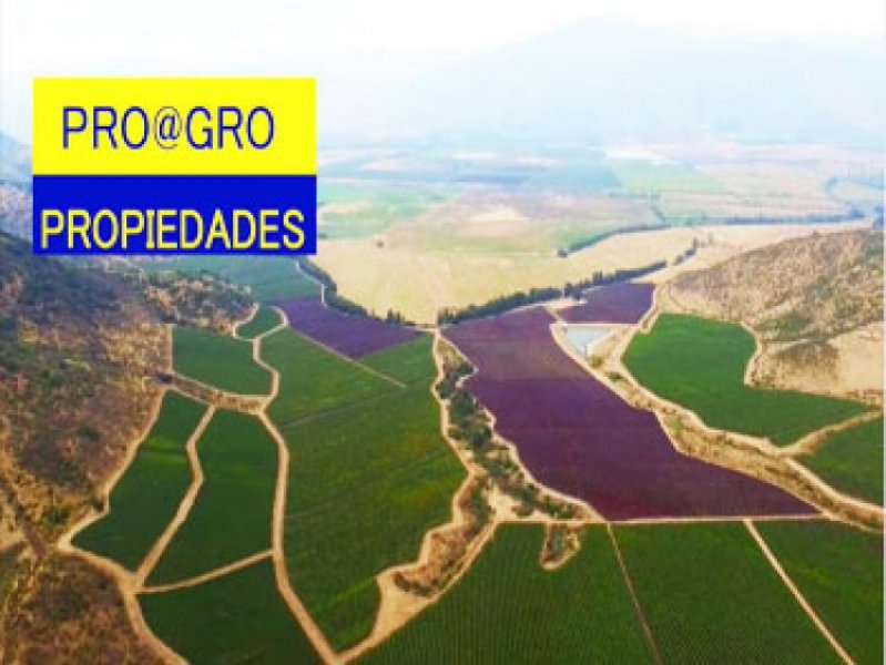 Foto Agricola en Venta en Santa Cruz, Colchagua - U$D 1.000 - AGV62838 - BienesOnLine