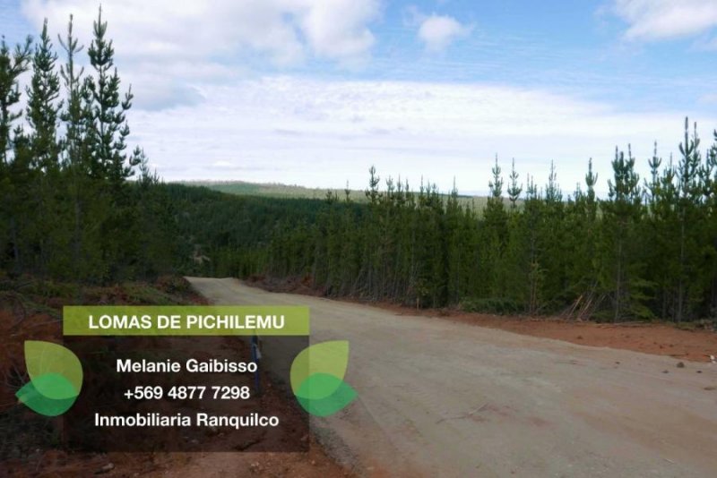 Foto Parcela en Venta en Pichilemu, Cardenal Caro - $ 14.990.000 - PAV86920 - BienesOnLine