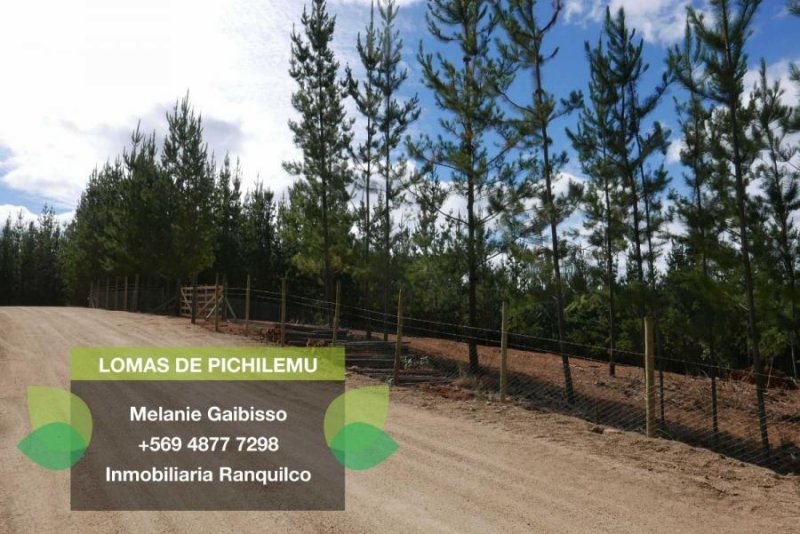 Foto Parcela en Venta en Pichilemu, Cardenal Caro - $ 13.990.000 - PAV86993 - BienesOnLine