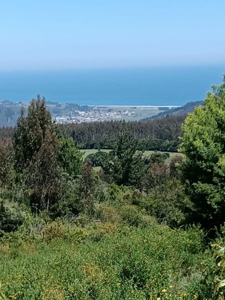 Los Maquis Campo y mar.