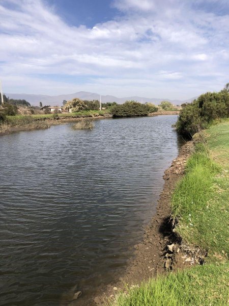 Agricola en Venta en El Romero La Serena, Elqui