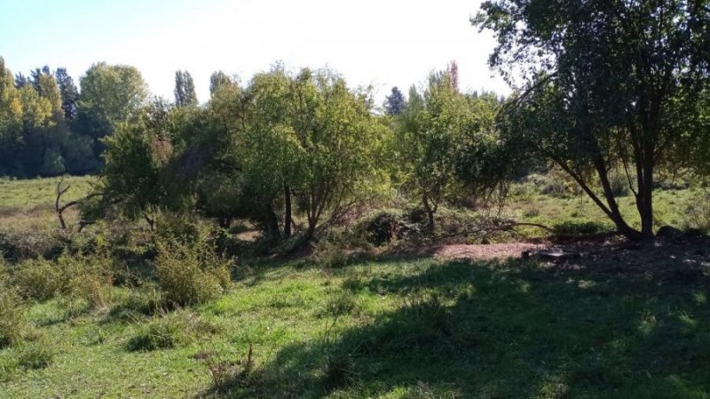 Parcela en Venta en  Colbún, Linares