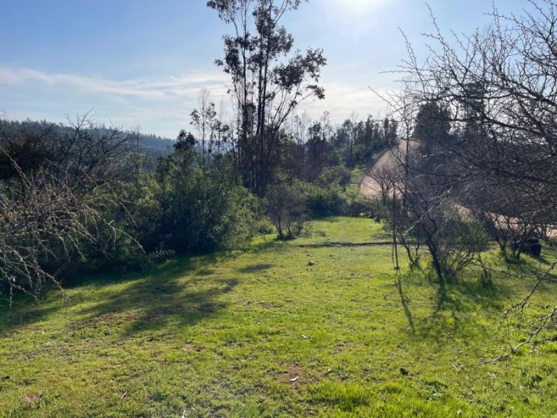 Parcela en Venta en el manzano Las Cabras, Cachapoal