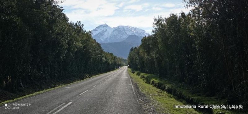 Agricola en Venta en Correntoso Puerto Montt, Llanquihue