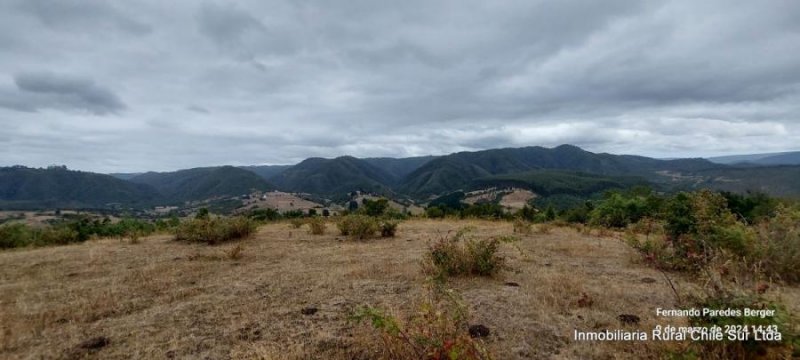 Agricola en Venta en Rio Blanco Fresia, Llanquihue