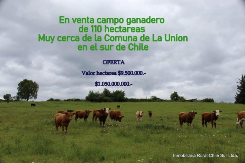 Agricola en Venta en  La Unión, Valdivia