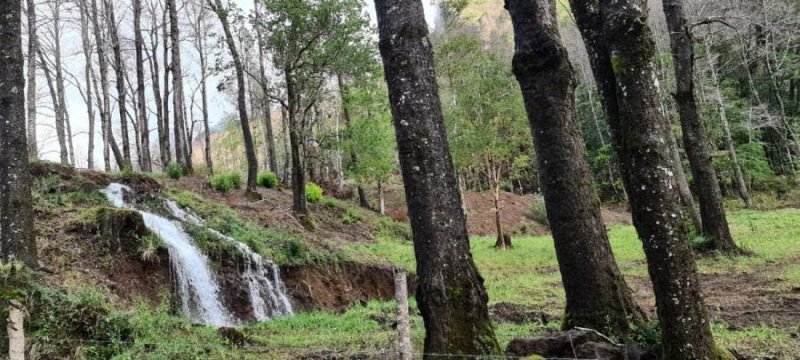 Opcion de Inversion, Parcelas con acceso a aguas termales