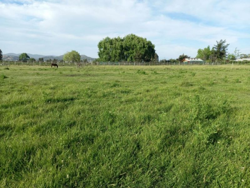 Terreno en Venta en  Teno, Curicó