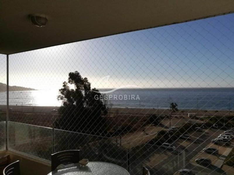 Foto Departamento en Venta en Papudo Laguna, Papudo, Petorca - UFs 6.500 - DEV100696 - BienesOnLine