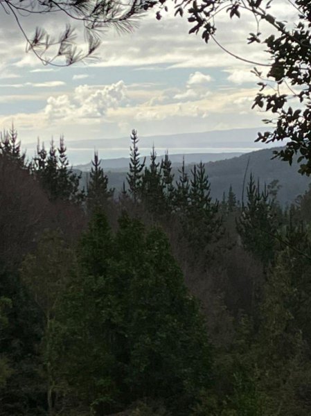 PAÑO EN CHOVELLEN, VISTA AL MAR, PELLUHUE