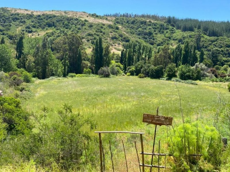 Terreno en Venta en Rapel de Navidad Navidad, Cardenal Caro