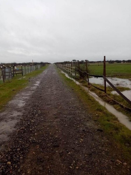 Parcela en Venta en  Santo Toribio, Cauquenes