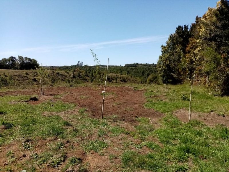 Terreno en Venta en Montemar Chullun Quemchi, Chiloe