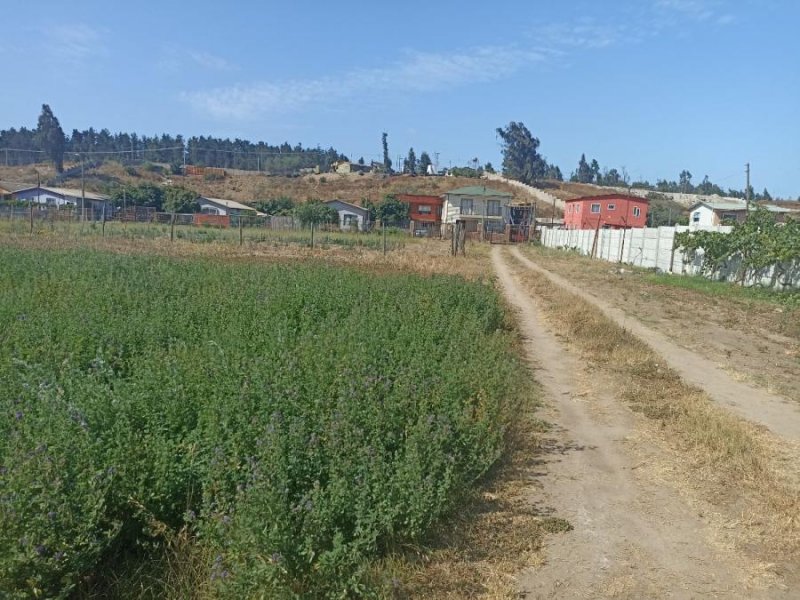 Terreno en Venta en Colmo Colmo, Valparaiso