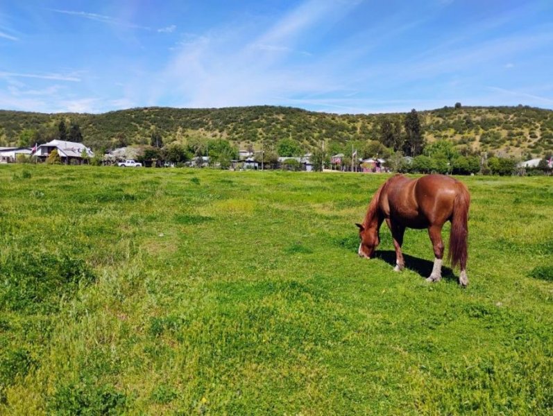 Terreno en Venta en Caleuche Pichidegua, Cachapoal