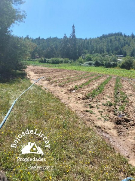 Parcela en Venta en Campo Batuco, Talca