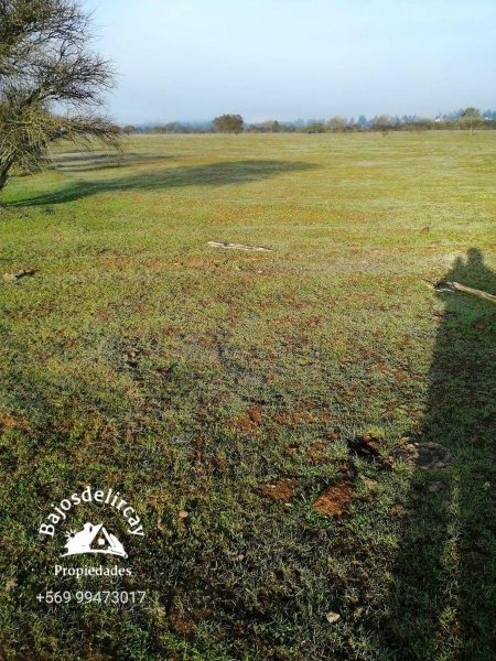 Agricola en Venta en Campo Bureo, Linares