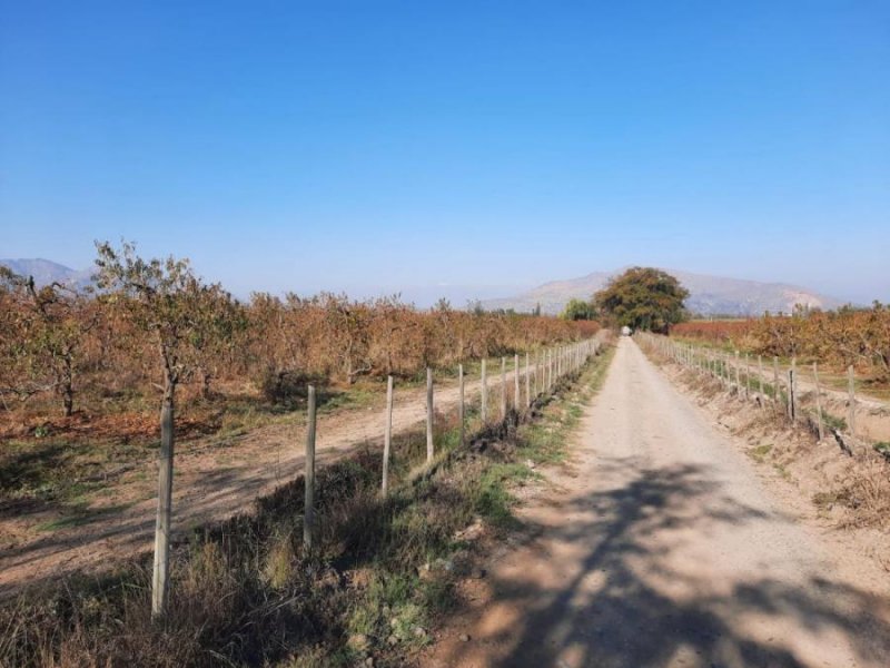 Agricola en Venta en  Doñihue, Cachapoal