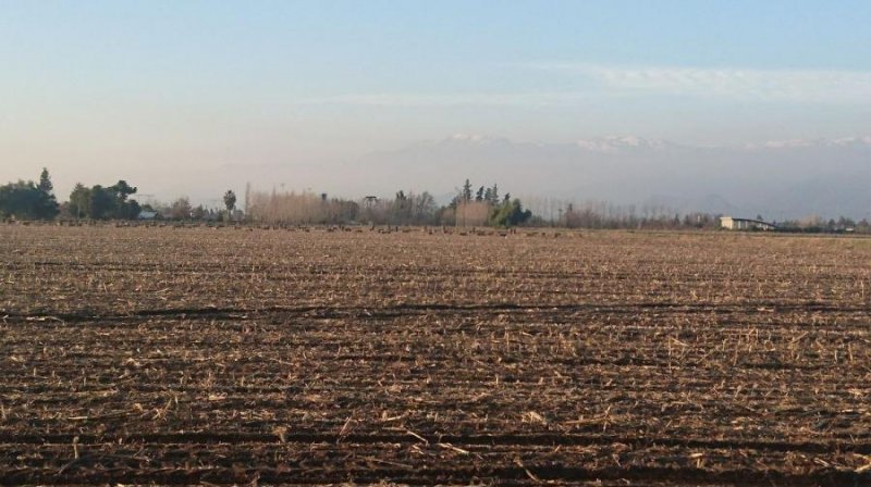 Agricola en Arriendo en  Machalí, Cachapoal