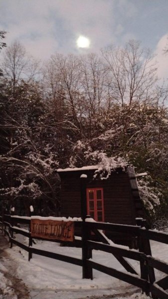 PARCELA BOSQUE NATIVO PATAGÓNICO,RIÓ,ROL