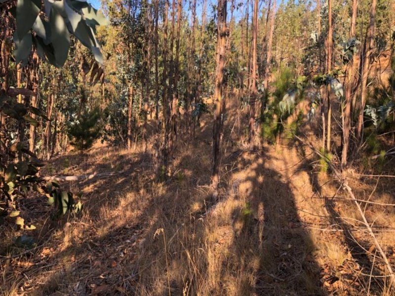 Terreno en Venta en Bucalemu Pichilemu, Cardenal Caro