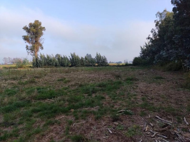 Terreno en Venta en Abránquil Loteo El Sauces, Calle Caupolicán, Abránquil, Linares