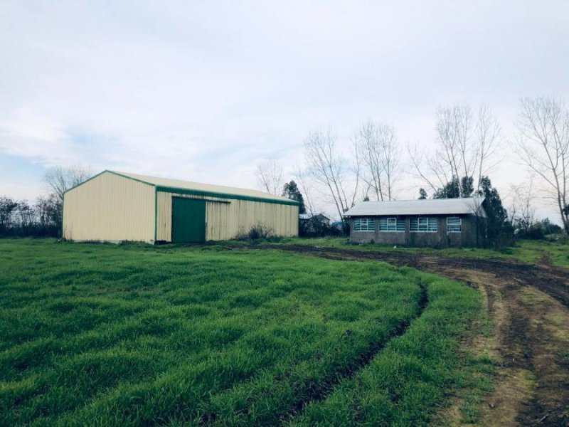 Agricola en Venta en  Talca, Talca