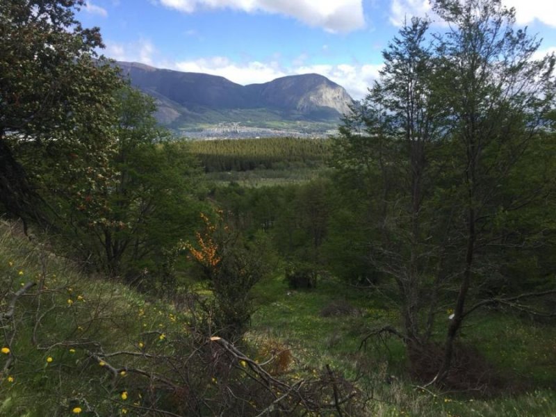 Parcela de 2.24 has con hermosa vista y cerca de Coyhaique - Región de Aysén Patagonia Chilena