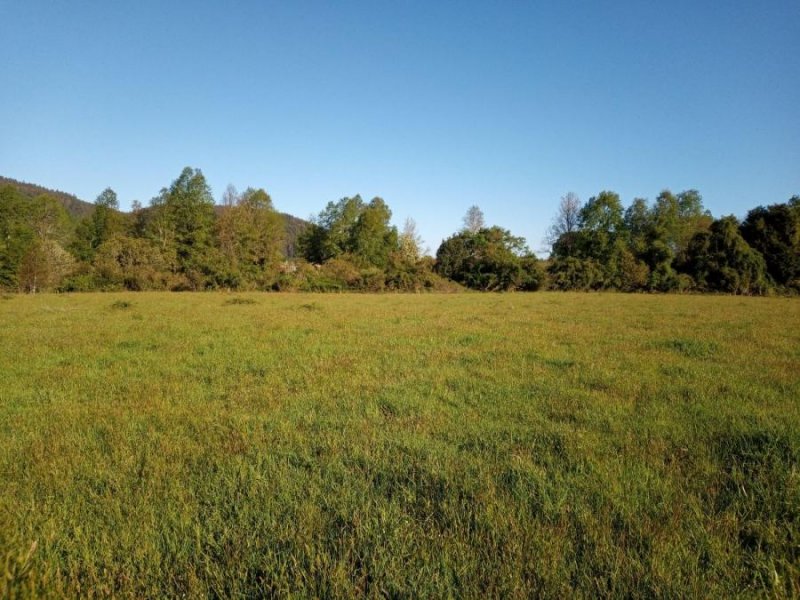 Foto Terreno en Venta en Reumen, Paillaco, Valdivia - $ 37.000.000 - TEV124900 - BienesOnLine