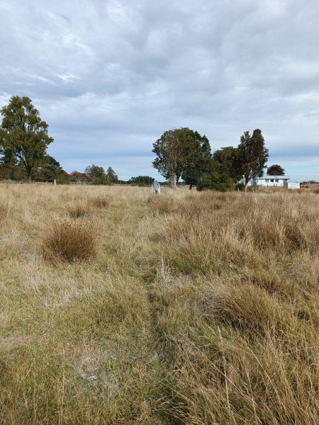 Parcela en Venta en Rural Fresia, Llanquihue