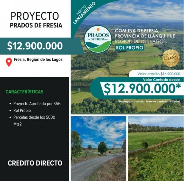 Parcela en Venta en Sector Agua Fría Fresia, Llanquihue