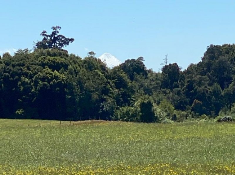 Parcela en Venta en  Los Muermos, Llanquihue