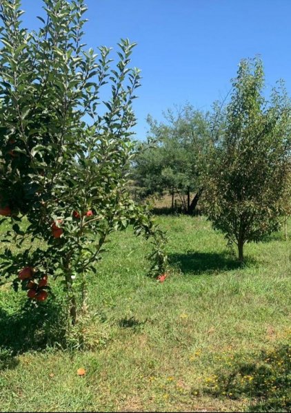 Parcela en Venta en rural Pelarco, Talca