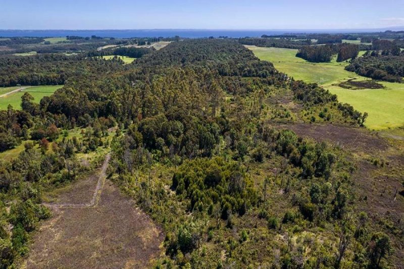 Terreno en Venta en  Puerto Varas, Llanquihue