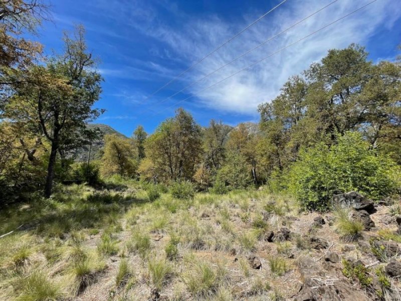 Parcela en Venta en  Pinto, Ñuble