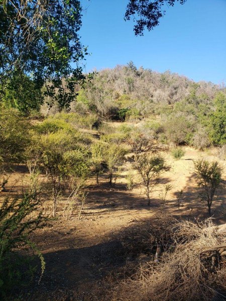 Terreno en Venta en Laguna de Aculeo Paine, Maipo