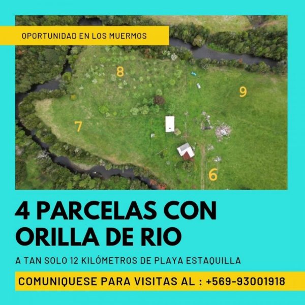 Parcela en Venta en  Los Muermos, Llanquihue