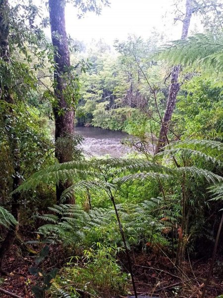 Parcela en Venta en polincay Polincay, Llanquihue