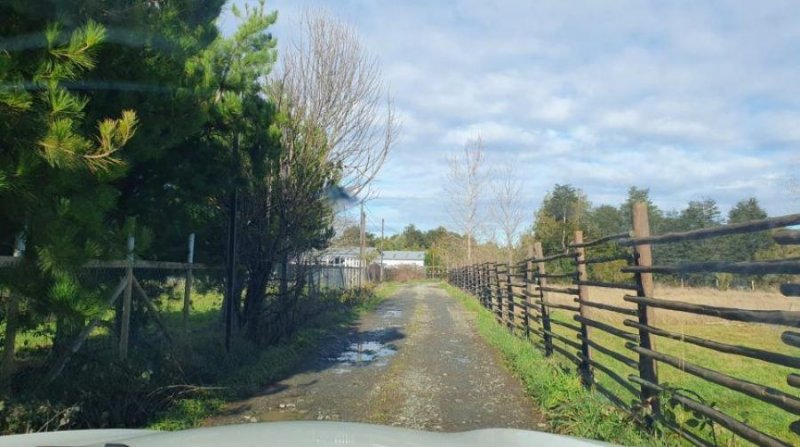 PARCELA, RUTA NUEVA BRAUNAU, PUERTO VARAS