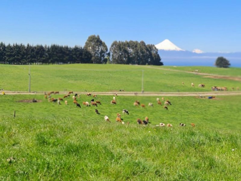 Foto Parcela en Venta en Frutillar s/,n, Frutillar, Llanquihue - $ 140.000.000 - PAV131165 - BienesOnLine