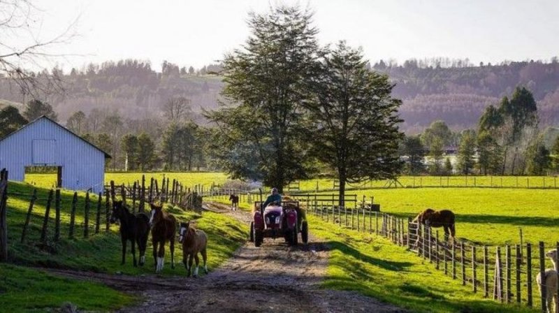 Parcela en Venta en EL MAÑIO HACIENDA EL MAÑIO, Valdivia