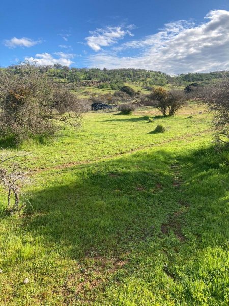 Parcela en Venta en  La Estrella, Cardenal Caro