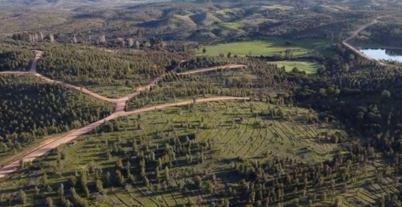 Terreno en Venta en  La Estrella, Cardenal Caro