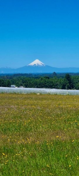 Parcela en Venta en  Frutillar, Llanquihue