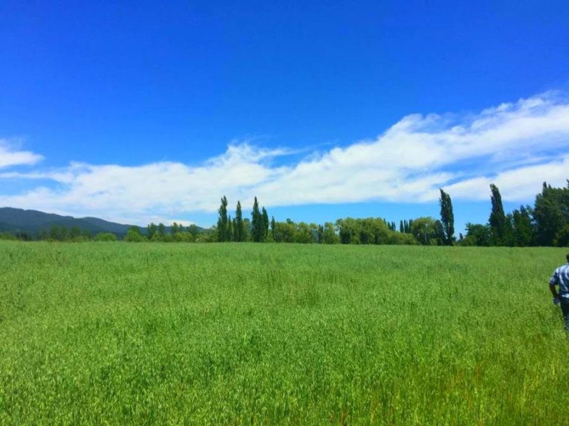 Parcela en Venta en  Longaví, Linares