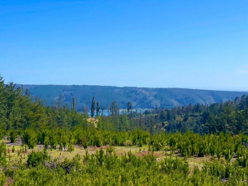 Parcela en Venta en Pañul Pichilemu, Cardenal Caro