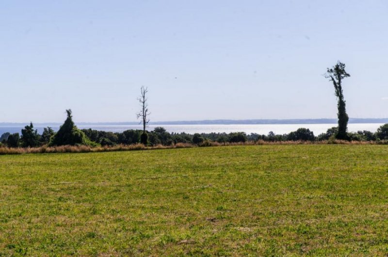 Parcelas con vista a los volcanes y Lago Llanquihue - Fundo El Rincón