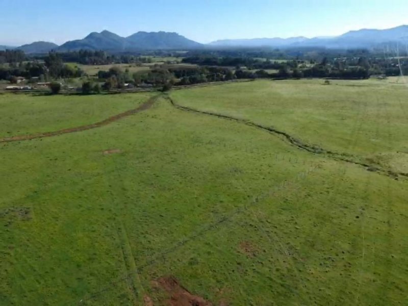 Parcela en Venta en  San Clemente, Talca