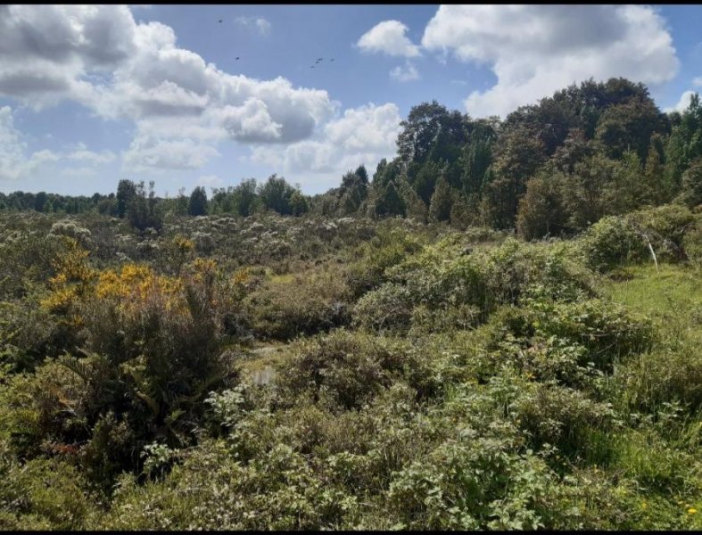 Parcela en Venta en Rural Ancud, Chiloe